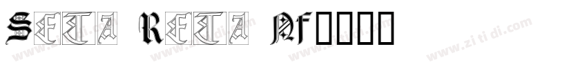 Seta Reta NF字体转换